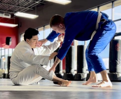 Bellevue Academy of Brazilian Jiu Jitsu logo
