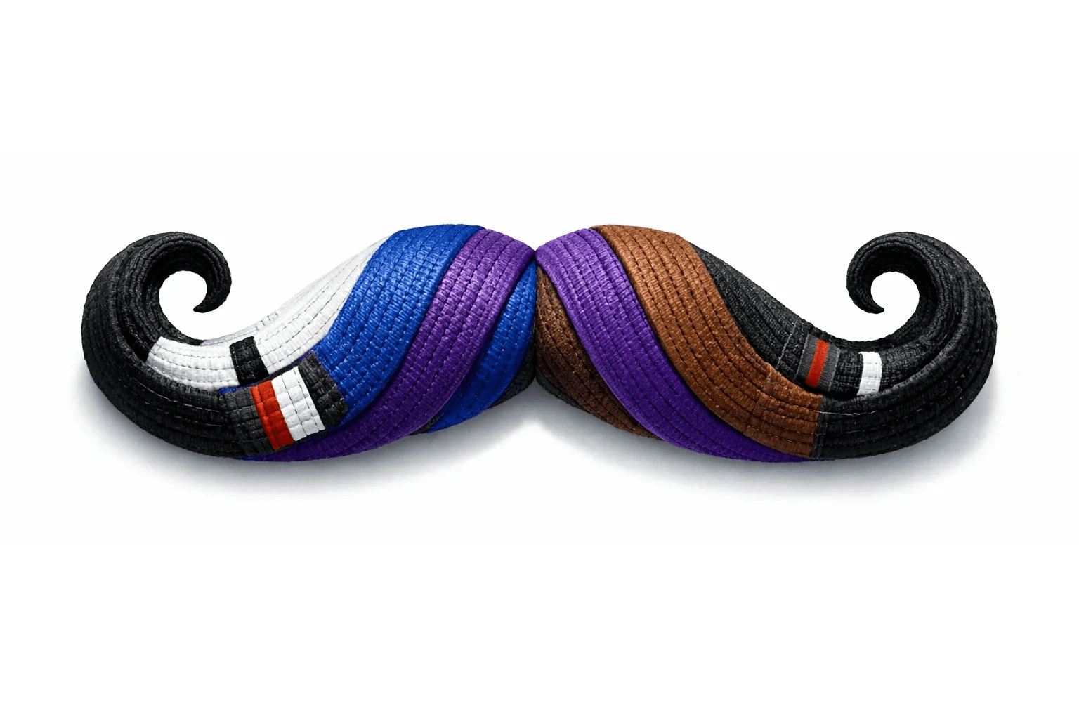 Twisted Jiu-Jitsu logo
