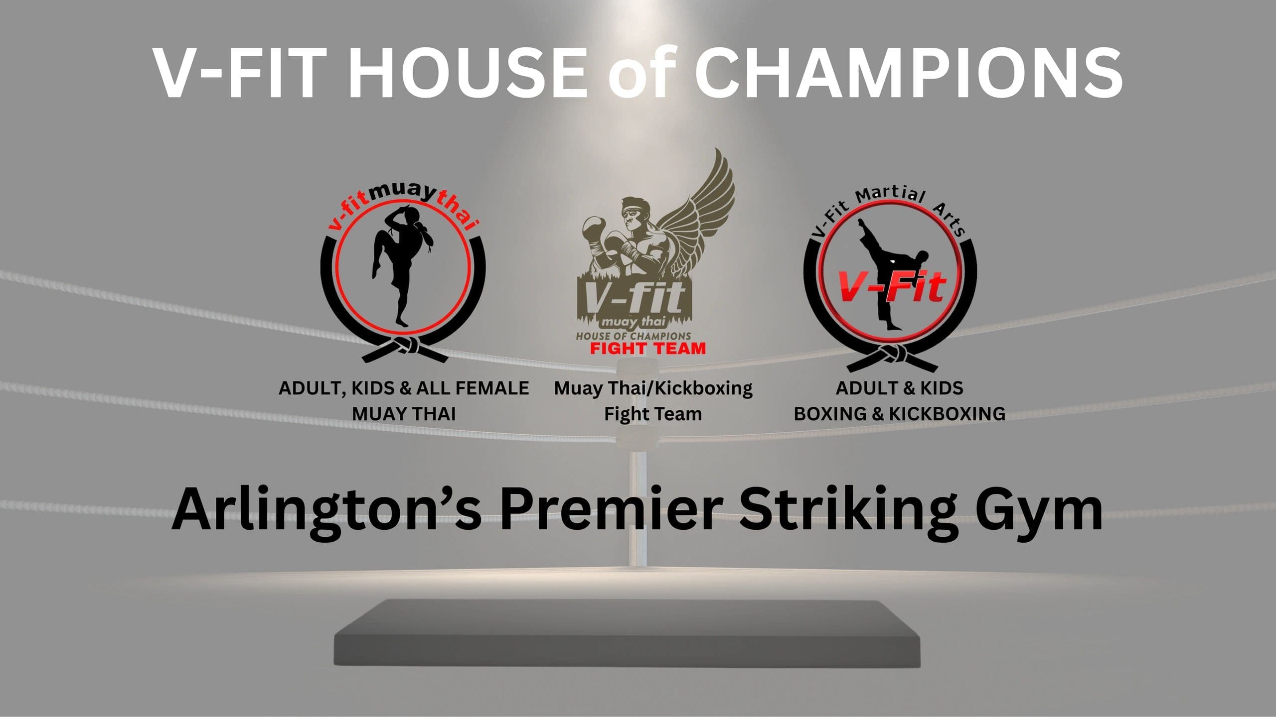 V-FIT HOUSE of CHAMPIONS logo