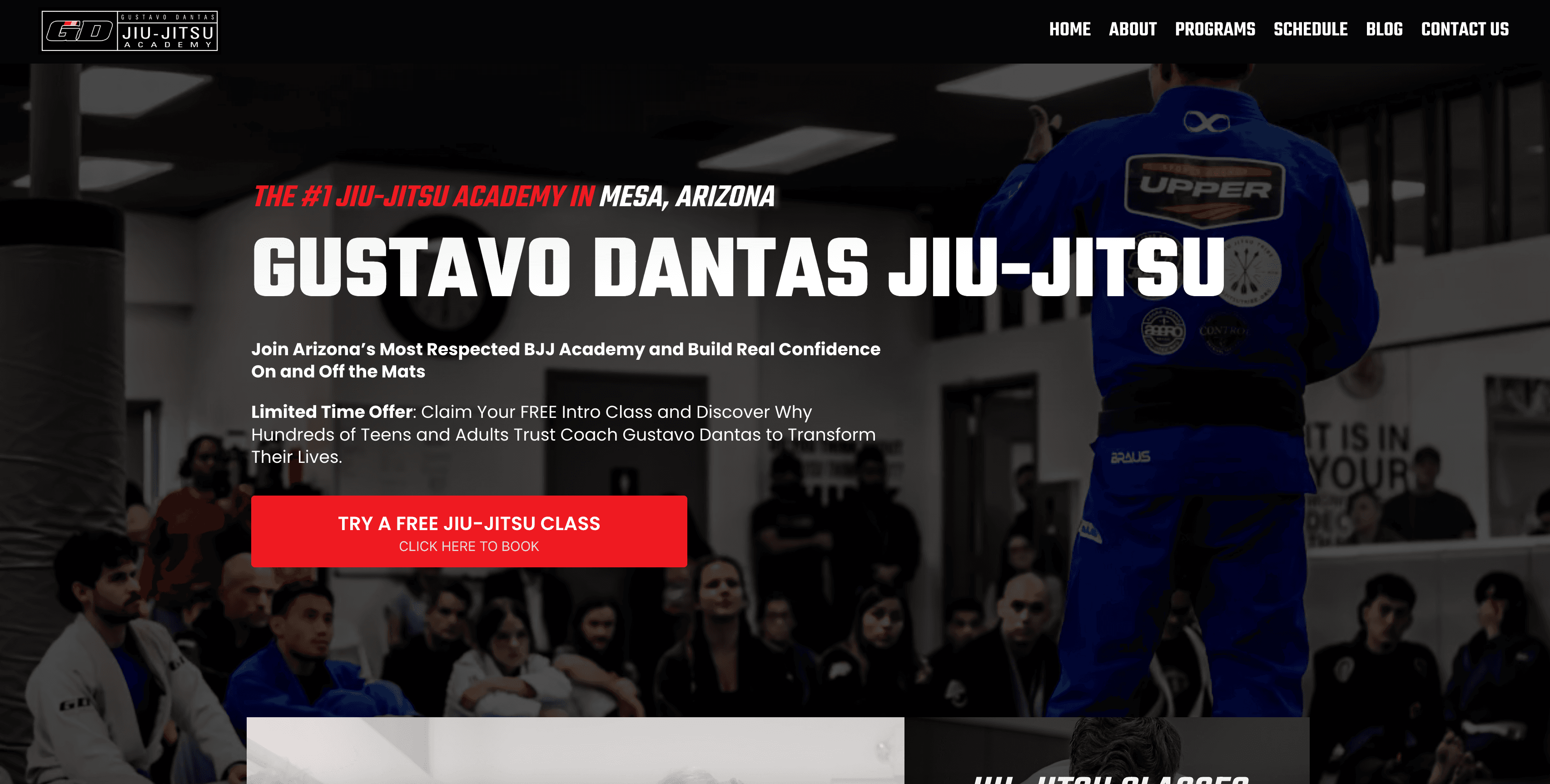 Gustavo Dantas Brazilian Jiu-Jitsu Academy logo