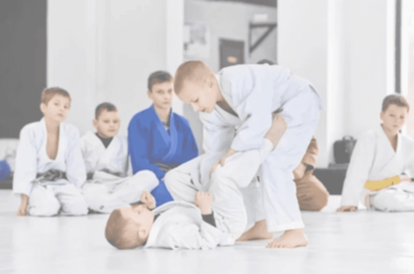 Woodland Jiu Jitsu Academy logo
