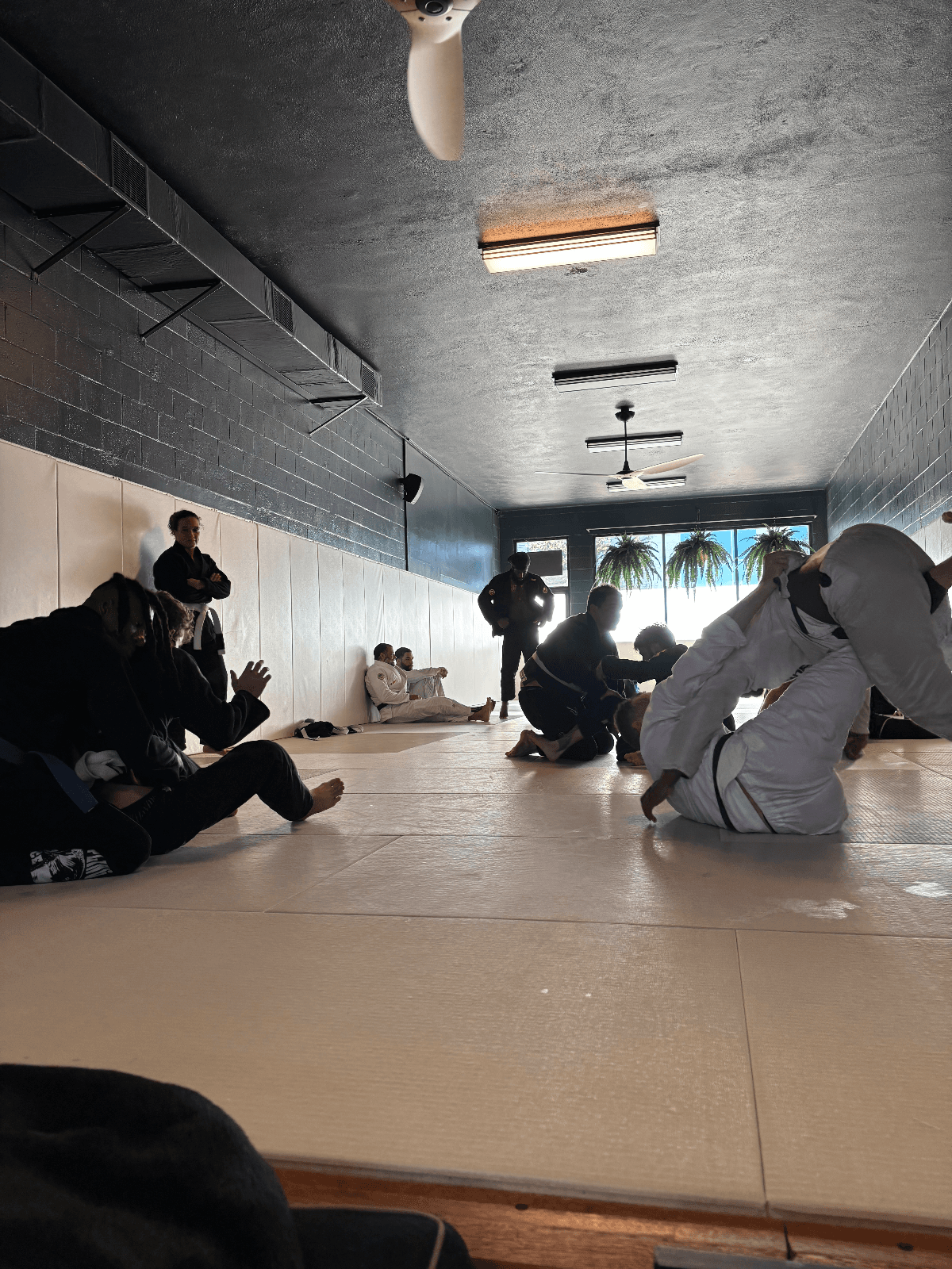 Saturday Open Mat @ OGC
