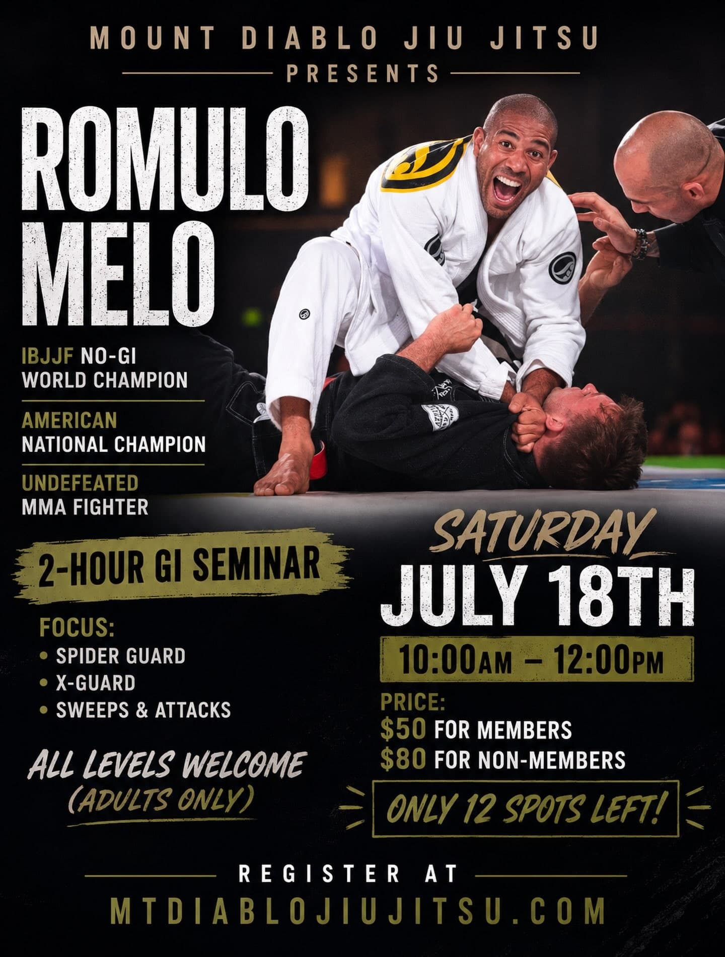 Romulo Melo Gi Seminar