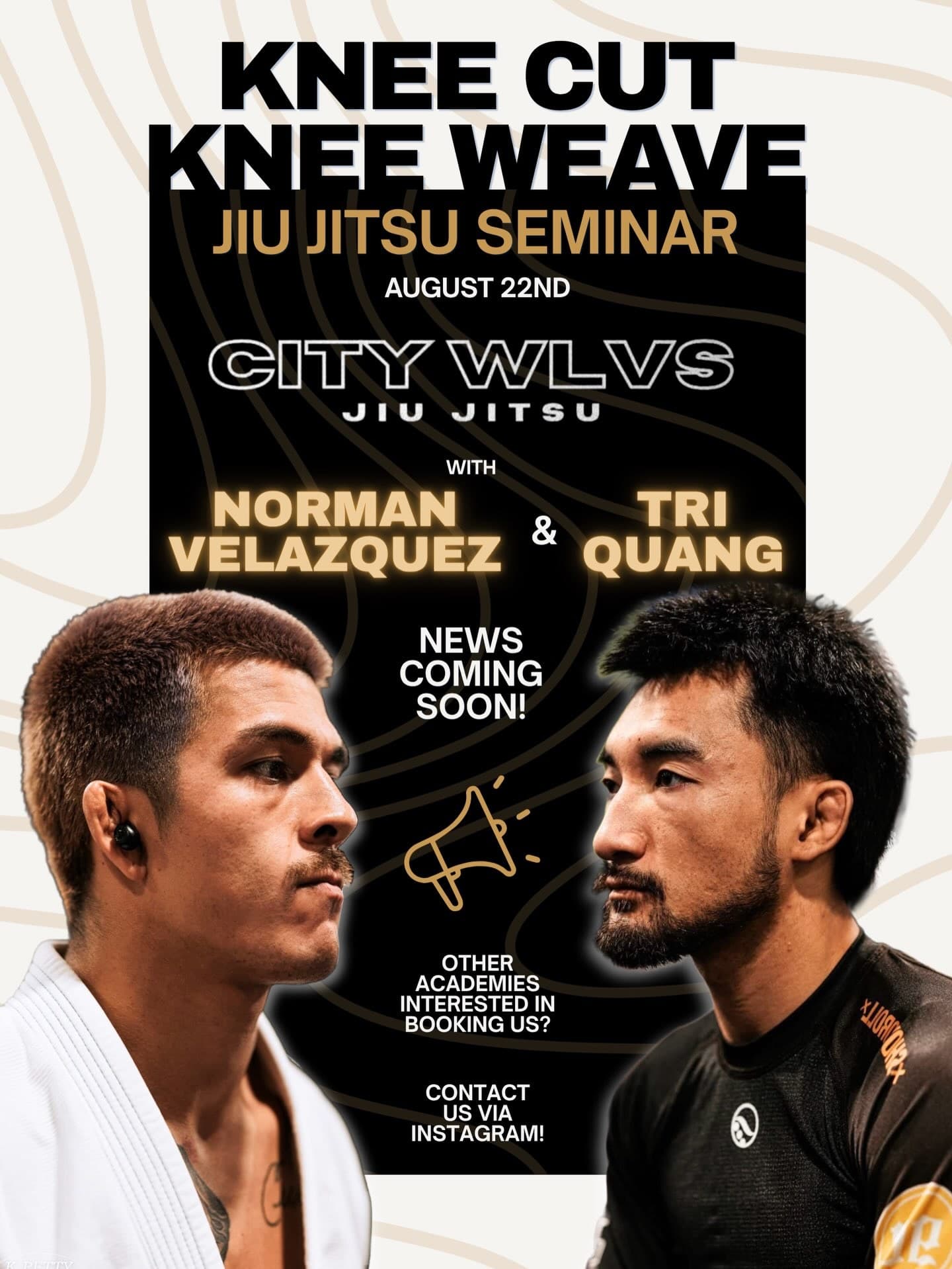 Knee Cut Knee Weave Seminar with Norman Velazquez & Tri Quang