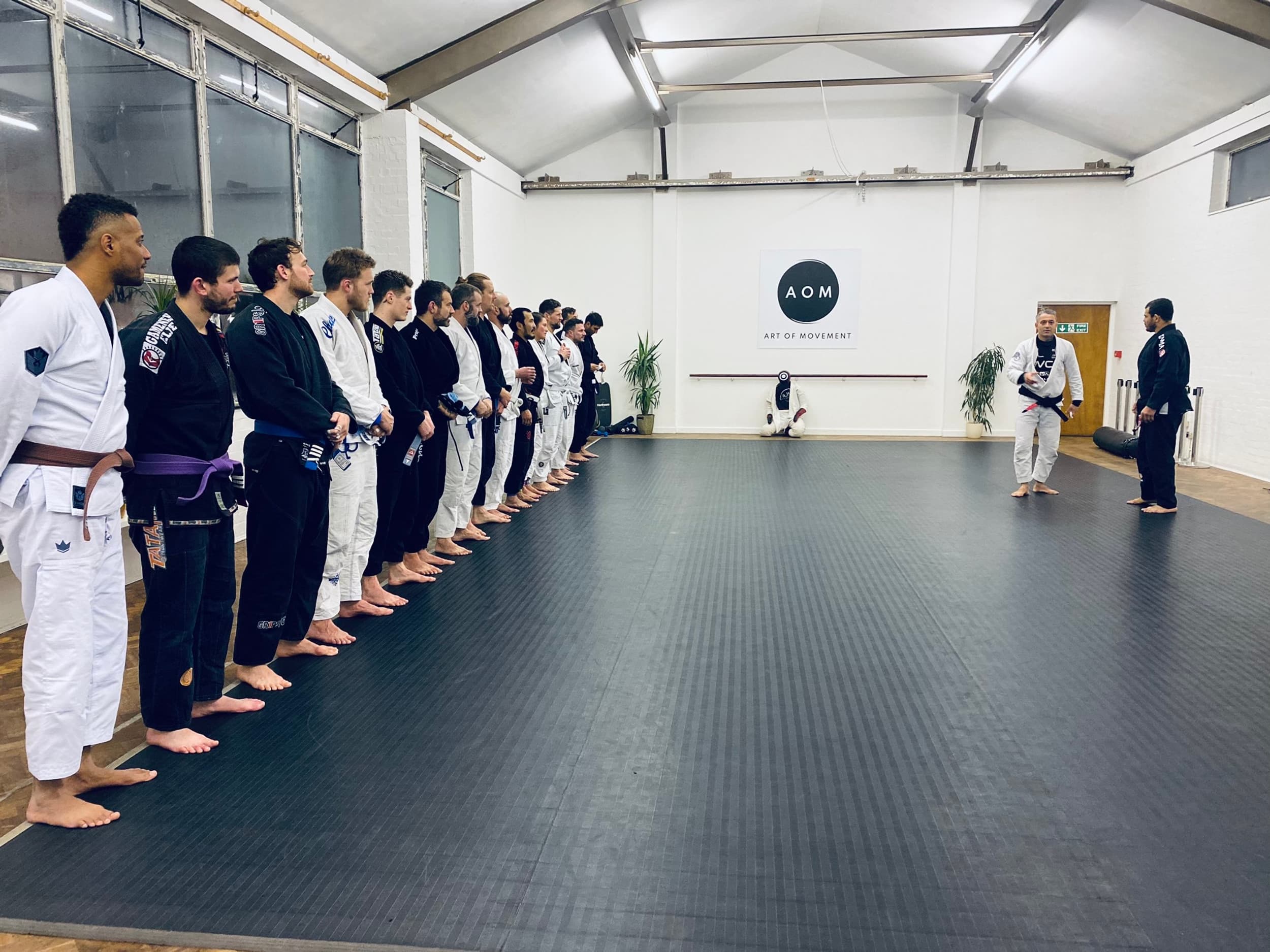 Art of Movement Bristol - Brazilian Jiu Jitsu and Capoeira logo