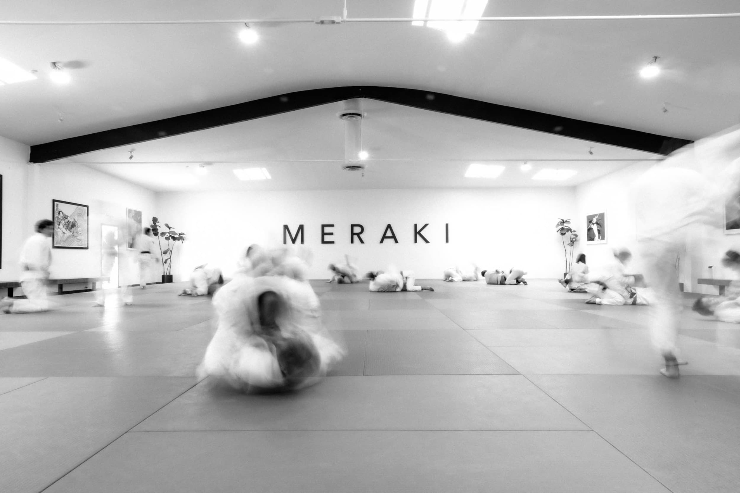 Meraki logo
