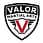 Valor Martial Arts logo