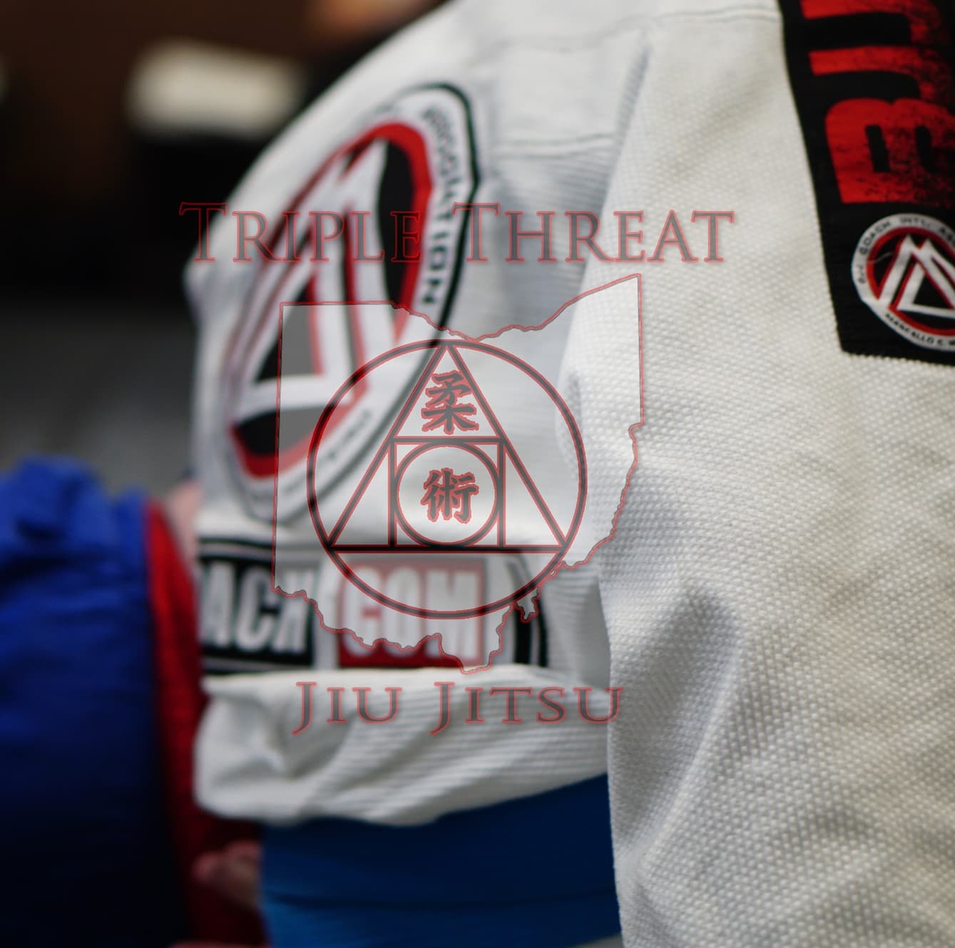 Triple Threat Brazilian Jiu Jitsu logo