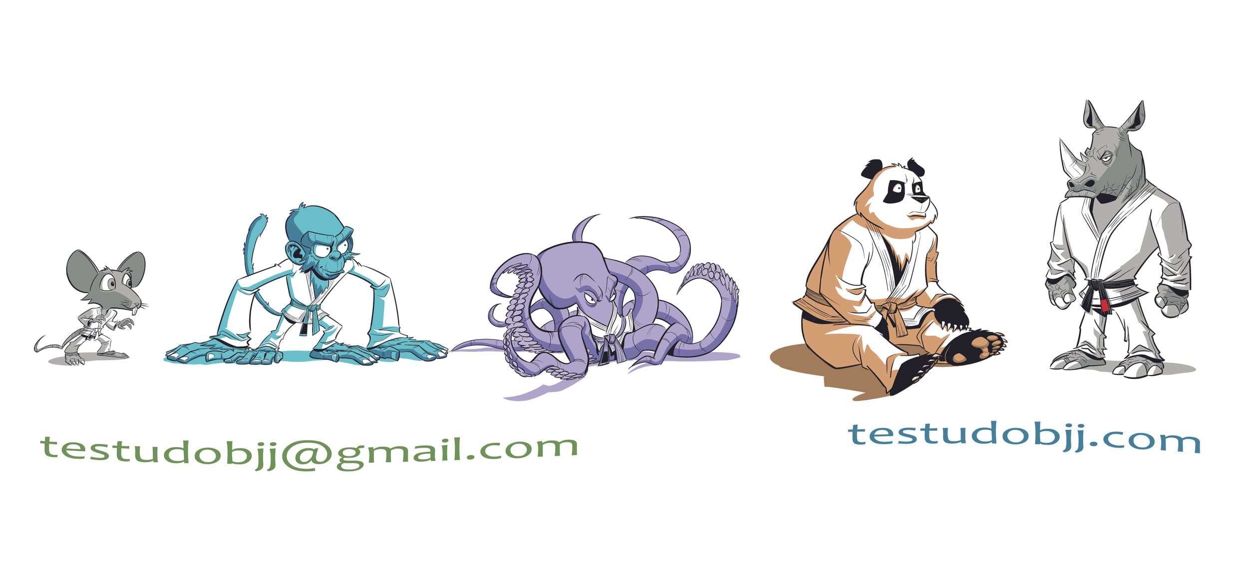 Testudo BJJ Judo logo