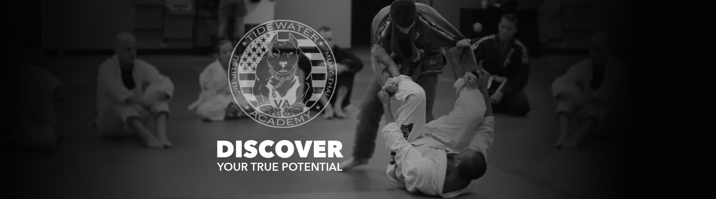 Tidewater Jiu-Jitsu VB logo